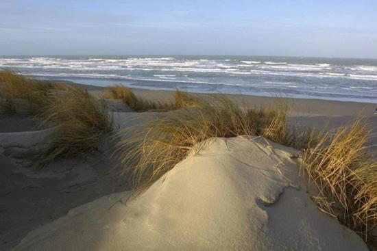 Cote Dune เลอโครทัว ภายนอก รูปภาพ